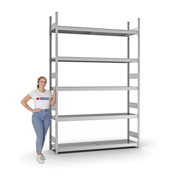 PROREGAL Weitspannregal Stecksystem T-Profil Grundregal HxBxT 300x200x40 cm 5 Ebenen Stahlplatten Fachboden Fachlast 350 kg Verzinkt