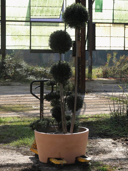 Pflanzgefäß COLO 80 XL, Durchmesser 80cm, 170 l Volumen, weiß, Pflanzkübel, Pflanztopf