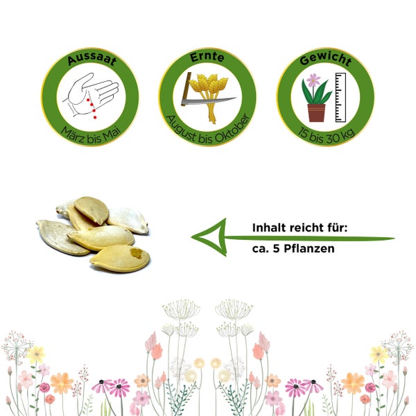 Produktdetails für Pflanzensamen: Aussaat März bis Mai, Ernte August bis Oktober, Fruchtgewicht 15 bis 30 Kilogramm, Inhalt für circa 5 Pflanzen.
