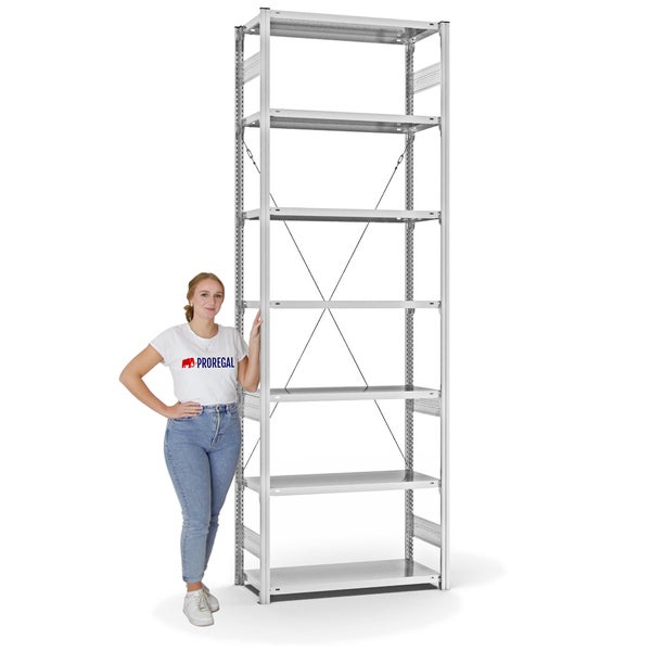 PROREGAL Fachbodenregal Stecksystem T-Profil Medium-Duty Grundregal HxBxT 300 x 100 x 40 cm 7 Ebenen Fachlast 225 kg Einseitig Nutzbar Lichtgrau