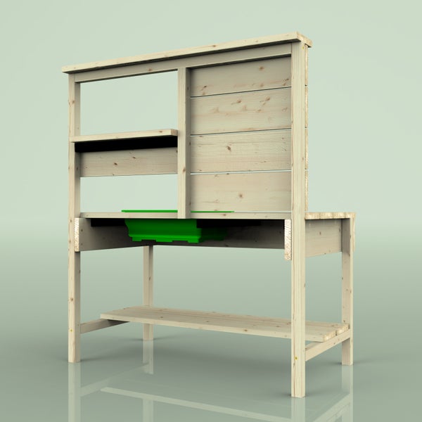 Ginsterpflanze mit roten Blüten