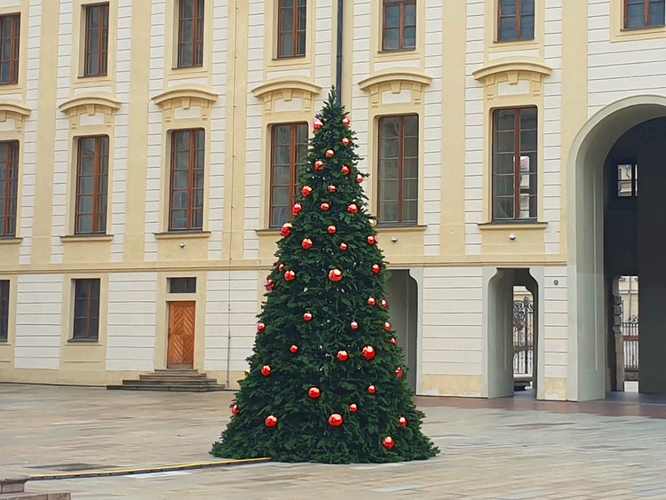 Geschmückter Weihnachtsbaum vor einem Gebäude