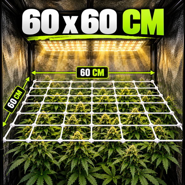 Pflanzennetz fuer Growbox mit 60 mal 60 Zentimeter Abmessungen fuer die Pflanzenzucht unter einer LED Beleuchtung.
