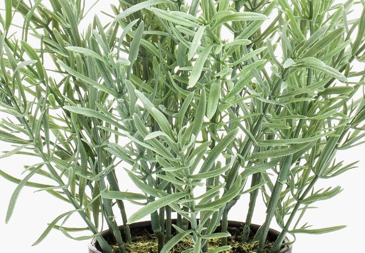 Künstliche Dracaena im schwarzen Kunststofftopf mit mehreren Holzstämmen und grün-weiß gestreiften Blättern.