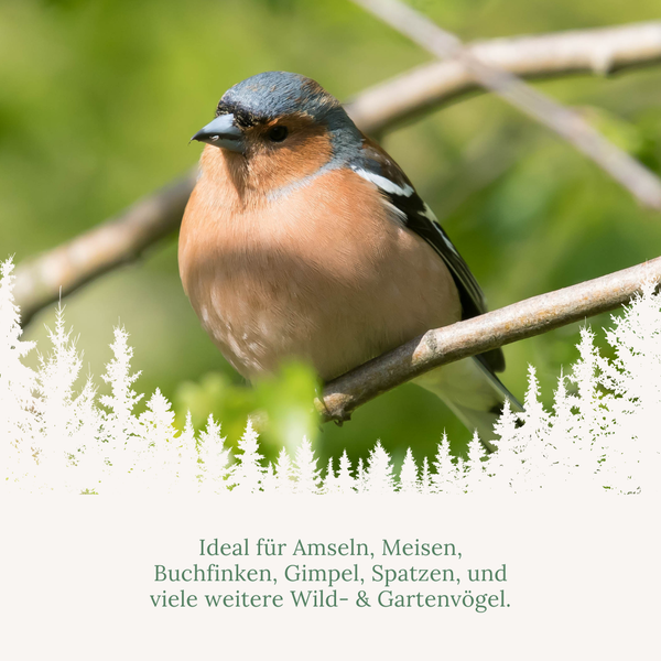 Ein Buchfink auf einem Ast. Text besagt, dass das Produkt ideal für Amseln, Meisen, Buchfinken, Gimpel, Spatzen und viele weitere Wildvögel ist.