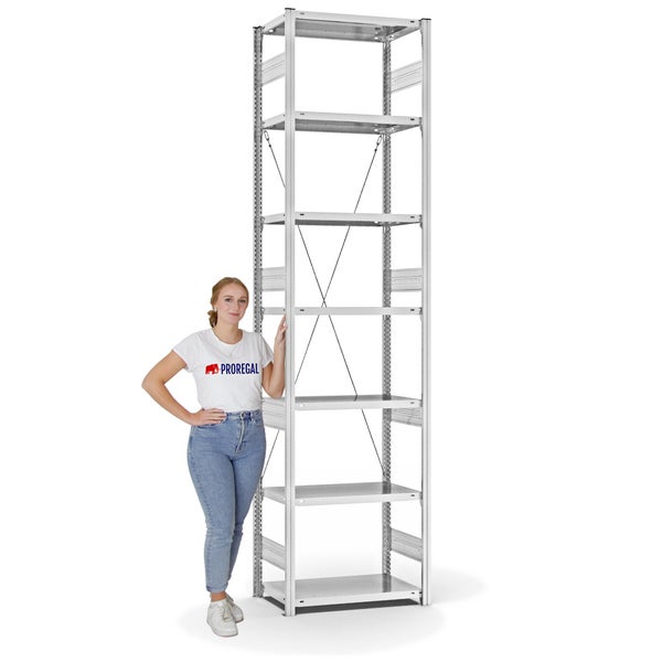 PROREGAL Fachbodenregal Stecksystem T-Profil Heavy-Duty Grundregal HxBxT 300 x 75 x 40 cm 7 Ebenen Fachlast 300 kg Einseitig Nutzbar Lichtgrau
