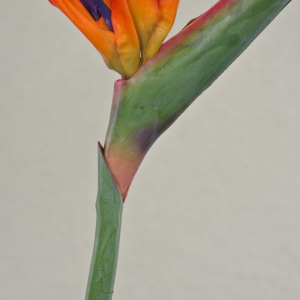 Künstliche Strelitzie MELIORN, orange-violett, 85cm - Kunst Strelitzie
