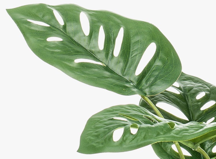 Künstliches Monstera-Blatt mit charakteristischen Löchern in Grün aus Kunststoff.