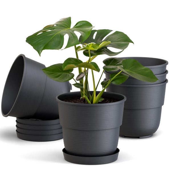 Plastard Blumentopf 5er Set mit Untersetzer Anthrazit 14 x 11.5 cm Pflanzkübel für Innen und Außen