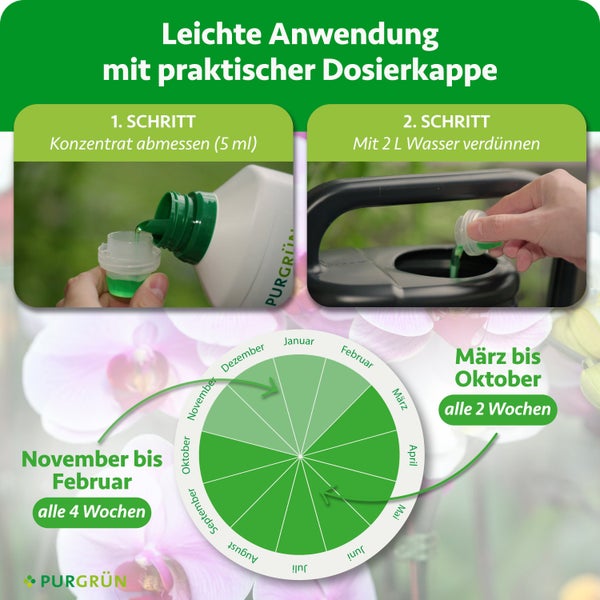 Anwendung Purgrün Flüssigdünger: 5 Milliliter mit 2 Liter Wasser mischen. März bis Oktober alle 2 Wochen, November bis Februar alle 4 Wochen.