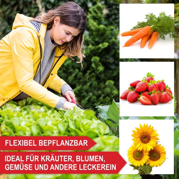 Frau erntet Salat, Bilder von Karotten, Erdbeeren und Sonnenblumen zeigen die vielseitige Bepflanzung für Kräuter, Blumen und Gemüse.