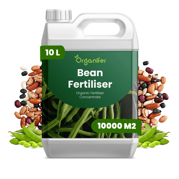 Organifer Bohnendünger, Bio-Flüssigdünger Konzentrat, 10 Liter für circa 10000 Quadratmeter.