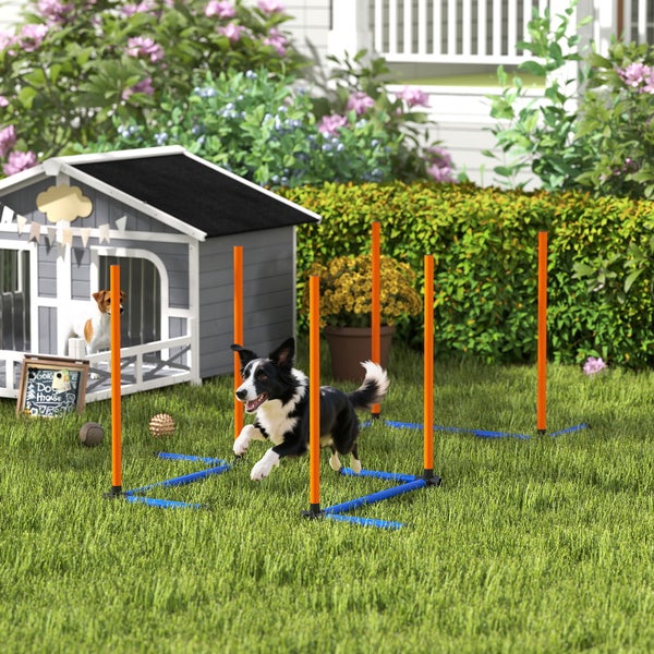 Hund beim Agility-Training im Garten mit Slalomstangen aus Kunststoff auf einer Rasenfläche neben einer Hundehütte aus Holz.
