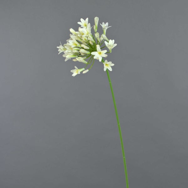 Weiße Agapanthus-Kunstblume mit grünem Stiel.