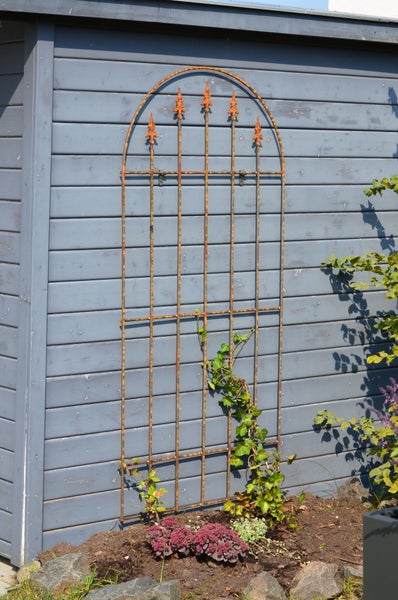 Wandgitter Edera Metall 168,5 x 79 cm unbeschichtet