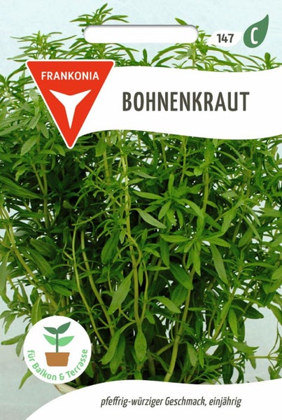 Bohnenkraut-Pflanze im Verkaufspack