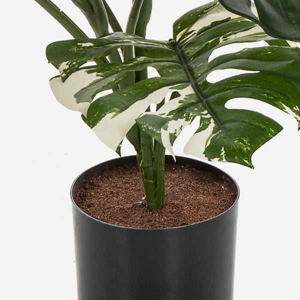 Künstliche Monstera deliciosa variegata im schwarzen Topf mit panaschierten Blättern.