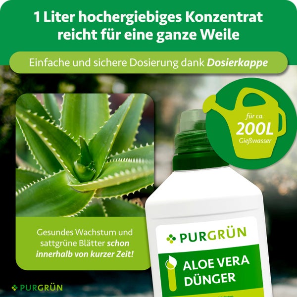 Infrarotsauna mit Glastür und Holzinnenausstattung