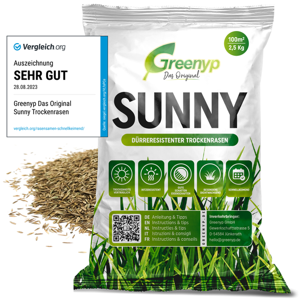 Greenyp Sunny I Dürreresistenter Trockenrasen I 2,5kg für 100m² I Grassamen Rasensamen Rasensaat Gras Nachsaat schnellkeimend