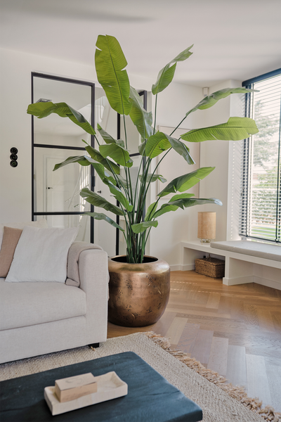 Kunstpflanze Strelitzia Nicolai Deluxe 240 cm real touch