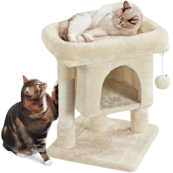 Katzenkratzbaum mit Katzen beim Spielen und Schlafen