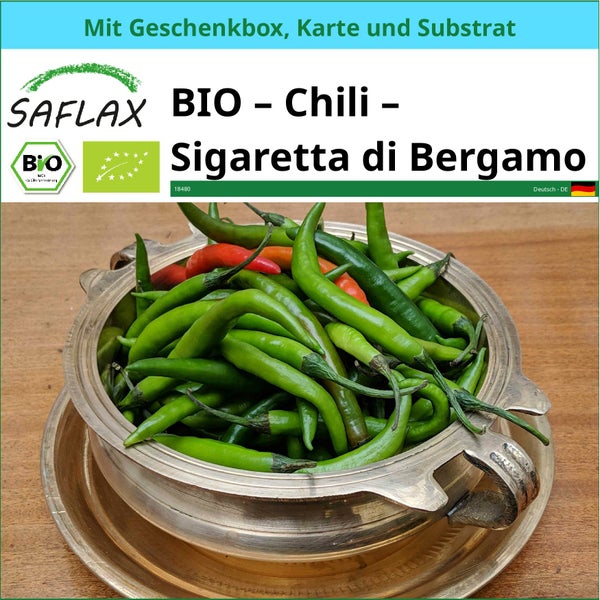 SAFLAX Geschenk Set - BIO – Chili – Sigaretta di Bergamo - Capsicum annuum - 10 Samen - Mit Geschenkbox, Versandaufkleber, Geschenkkarte und Anzuchtsubstrat