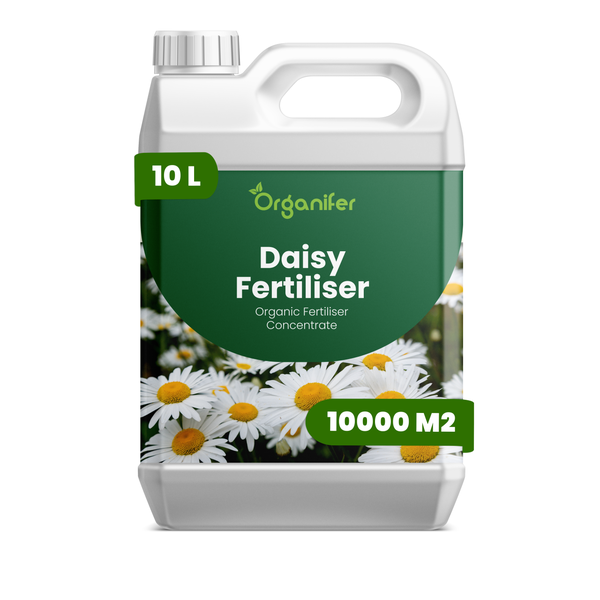 Organifer Gänseblümchendünger, 10 Liter organisches Düngerkonzentrat für 10000 Quadratmeter.