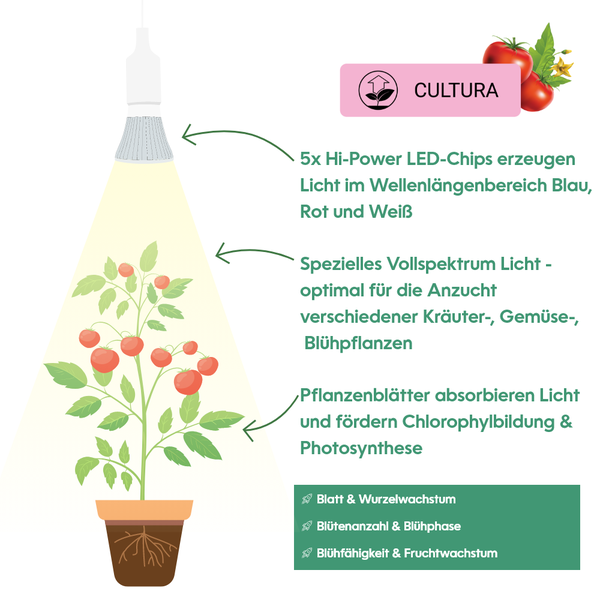 Parus by Venso LED Pflanzenlampe Vollspektrum Cultura LED Lampe E27 6W 60°, Wachstumslampe für Pflanzen wie Kräuter-, Gemüse- und Blühpflanzen, Parus Pflanzenlampe LED Vollspektrum Pflanzenlicht