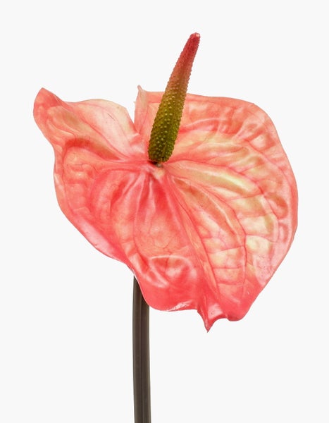Künstlicher Magnolienzweig mit geschlossenen Knospen, braune Rinde mit strukturierter Oberfläche.