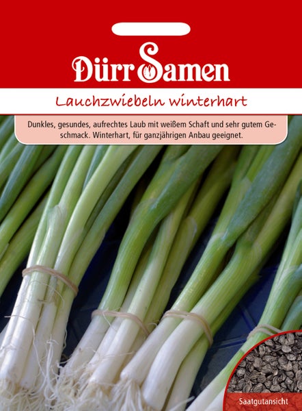 Samentüte für winterharte Lauchzwiebeln von Dürr Samen, mit Abbildung frischer Frühlingszwiebeln und einer Detailansicht der Samen.