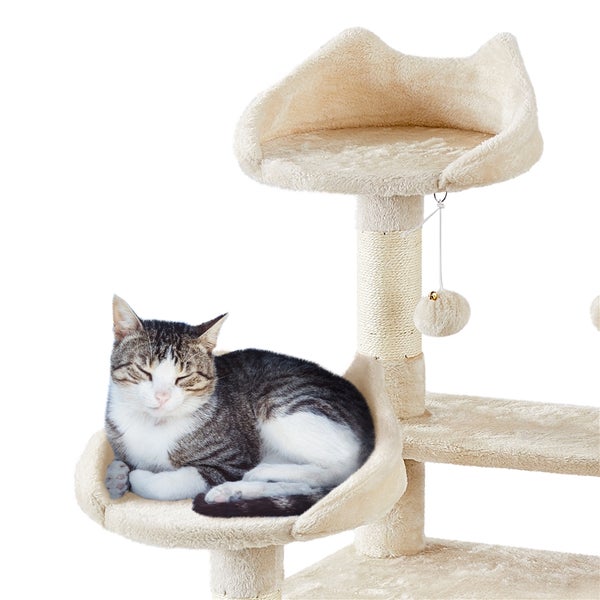 Katze ruht auf einem beigen Kratzbaum