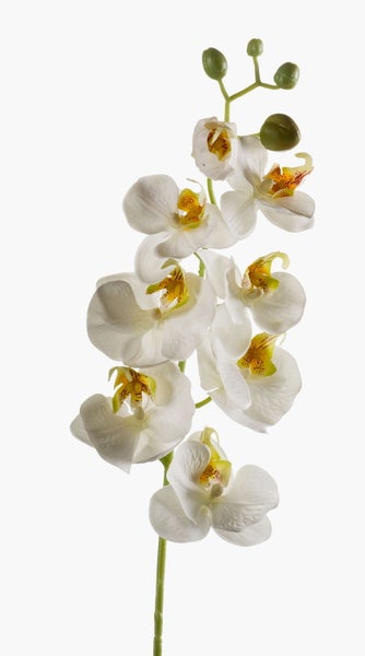 Künstliche weiße Orchideenblüten Phalaenopsis mit gelber Mitte.