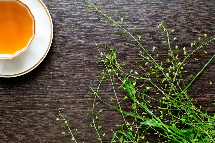 SAFLAX  - Hirtentäschel - Capsella bursa-pastoris - 1000 Samen
