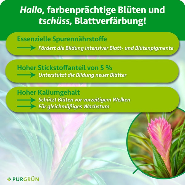 Infografik zum Purgruen Pflanzenduenger mit Erlaeuterungen zu Spuernaehrstoffen, Stickstoff und Kalium fuer kraeftiges Pflanzenwachstum.