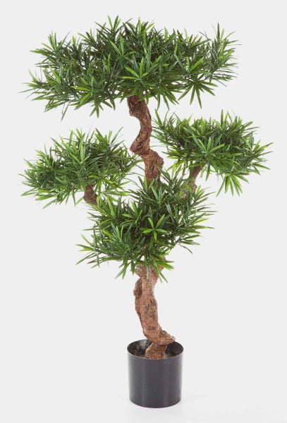 Künstlicher Bonsai Podocarpus mit braunem, geschwungenem Stamm und grünen Nadelblättern im schwarzen Kunststofftopf.