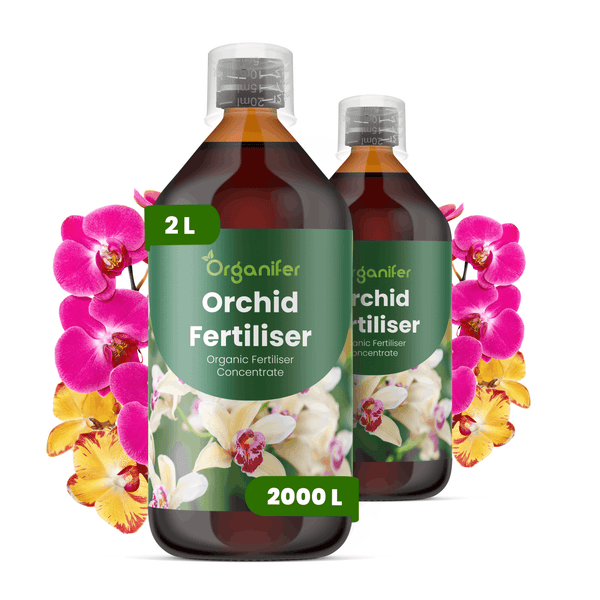 Zwei 2-Liter-Flaschen Organifer Orchideendünger, organisches Düngerkonzentrat für circa 2000 Liter, mit Orchideenblüten.