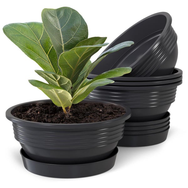 Plastard Pflanzschale 5er-Set in Anthrazit Ø 25 x 10 cm mit Untersetzer – wetterfest, frostbeständig, ideal für Garten, Balkon & Küche