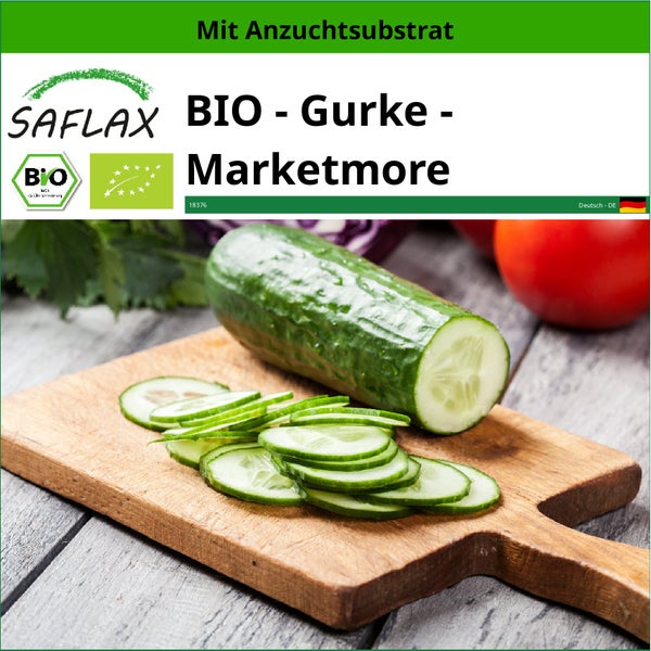 SAFLAX  - BIO - Gurke - Marketmore - Cucumis sativus - 20 Samen - Mit keimfreiem Anzuchtsubstrat