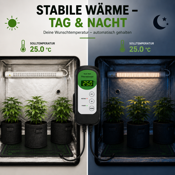 Digitales Heizmatten Thermostat zur automatischen Temperaturregelung in einer Growbox mit Pflanzen.