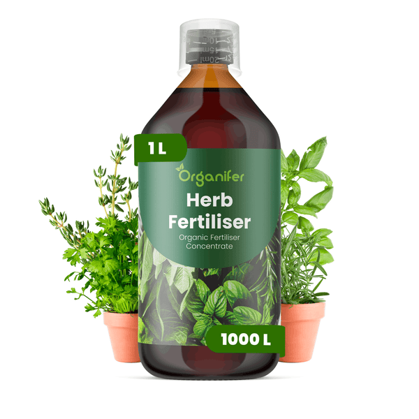 Organifer Kräuterdünger Konzentrat 1 Liter für 1000 Liter, organischer Flüssigdünger für Kräuter.