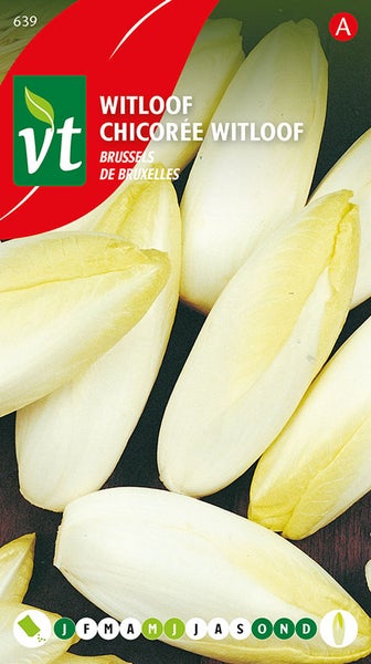Chicorée-Samenpackung für den Anbau von Chicorée