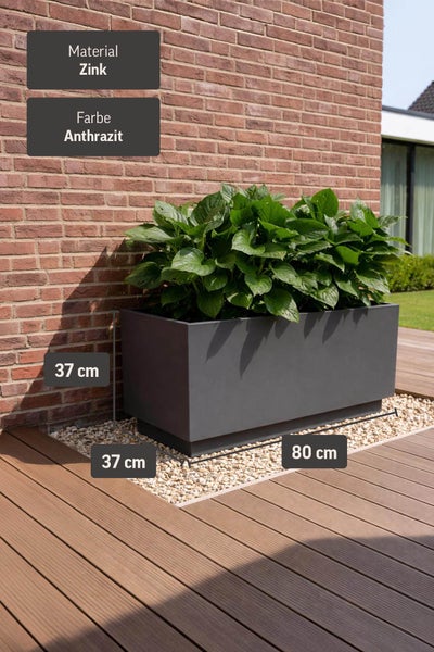 Rechteckiger Pflanzkasten aus Zink in Anthrazit mit grünen Pflanzen. Maße 80 Zentimeter mal 37 Zentimeter mal 37 Zentimeter.