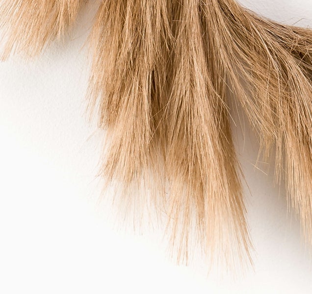 Detailansicht von natürlichen getrockneten Grasfasern mit einer feinen und weichen Struktur.