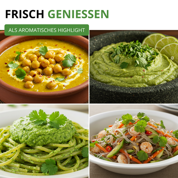 Vier Gerichte mit frischen Kräutern: Kichererbsen-Curry, Kräuter-Dip mit Limette, Spaghetti mit Pesto und Nudelsalat mit Garnelen.