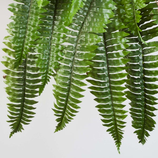 Künstlicher Farn mit herabhängenden grünen Farnwedeln und gezackten Blättern.