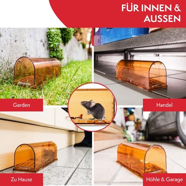 PATTLER® Mausefalle lebend - Extra große Lebendfalle Maus | Tierfreundlich Mäusefalle | Ratten oder Kleintiere Fangen - mit Luftlöchern | Einfache Aufstellung im Haus, Garage oder Garten - 1er Set