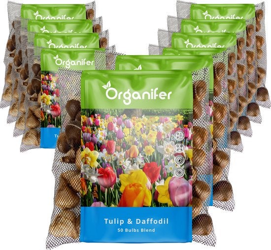 Mehrere Packungen Tulpen- und Narzissenzwiebeln von Organifer