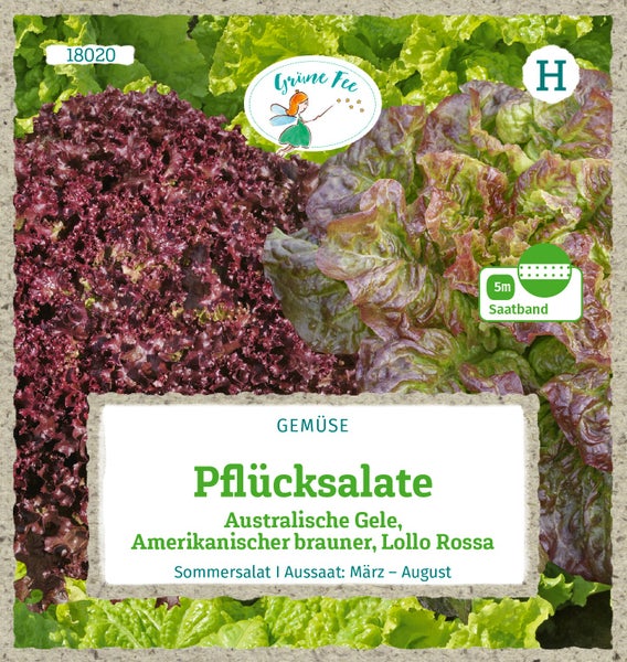 Samentüte für Pflücksalat Mischung Australische Gele, Amerikanischer brauner und Lollo Rossa auf 5 Meter Saatband, Grüne Fee Logo.