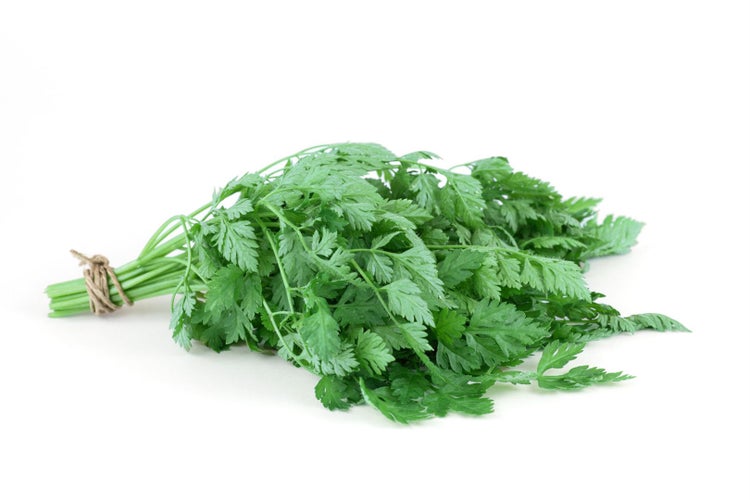 Bund Kerbelkraut