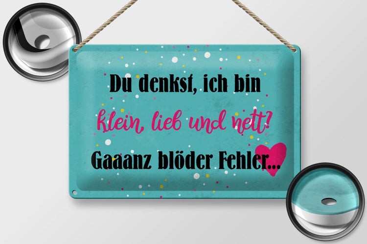 Blechschild Spruch 30x20cm du denkst ich bin klein lieb
